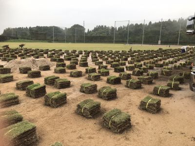 スポーツグラウンド　天然芝施工