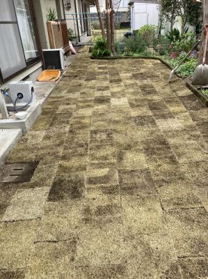 熊本市　個人様宅　天然芝施工