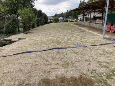 菊池市　個人様宅　天然芝施工