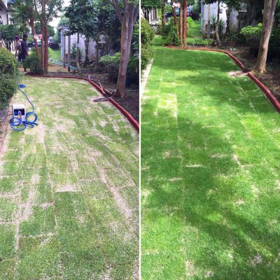 熊本市　個人様宅　天然芝施工