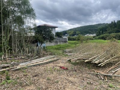 瑞浪市　竹林伐採(b・プロジェクト様と業務提携)