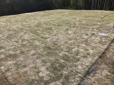 恵那市　個人様宅　天然芝施工