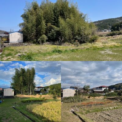 瑞浪市　竹林伐採　(bプロジェクト様業務提携)