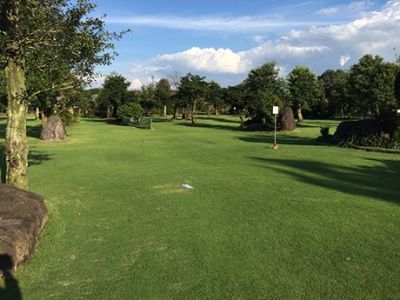 菊池市　ゲートボール場　天然芝施工